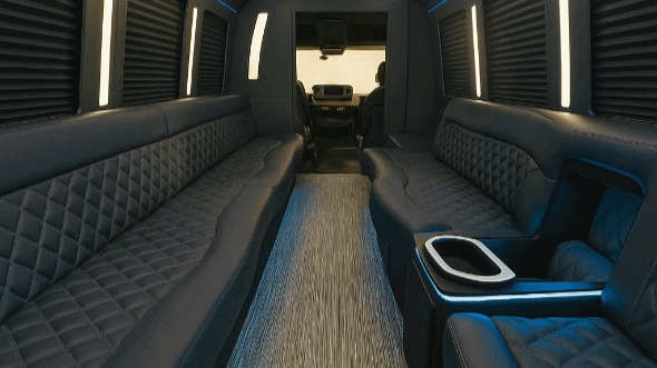 28 passenger party bus interior